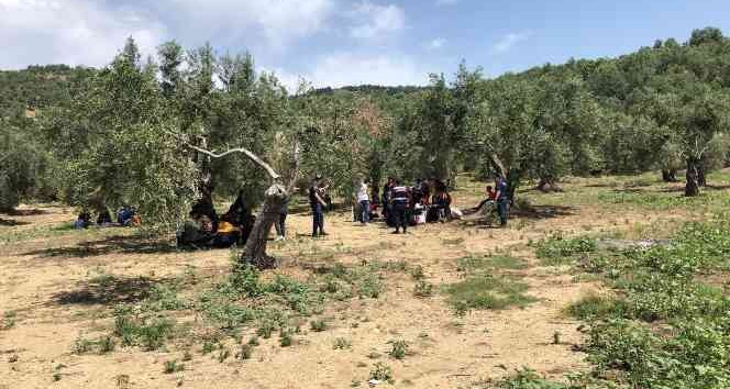 Çanakkale’de son 4 ayda bin 195 düzensiz göçmen yakalandı