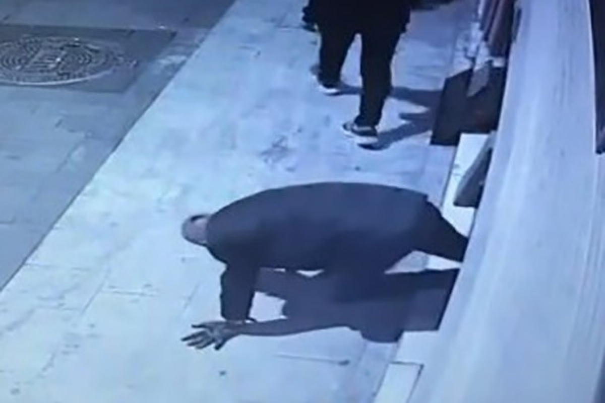 Sürüngen hırsızlar kamerada