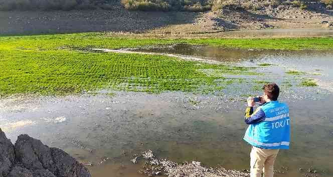 Denetime çıkan ekipleri şaşırtan manzara, yüzlercesi aynı anda geldi