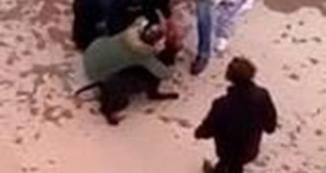 Minik Asiyeye pitbull saldırısında tahliye edilen 3 sanık tekrar tutuklandı