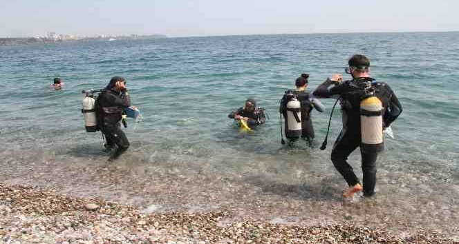 Dünyaca ünlü sahilde deniz kestaneleri koloni olarak görüntülendi