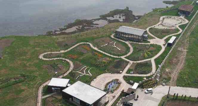 Yalova Altınova tıbbı bitki üretiminde de söz sahibi olacak