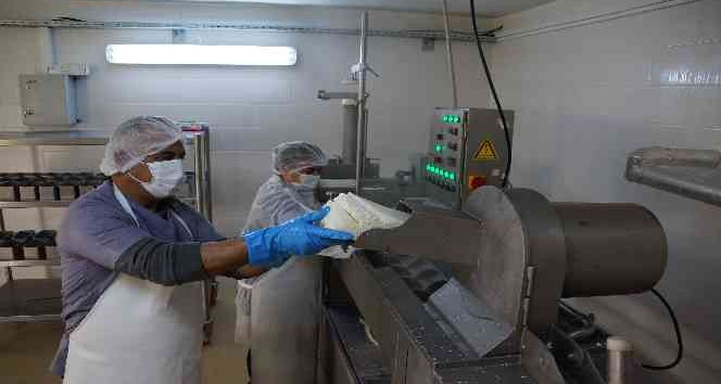 Bu fakülte ürettiği ürünlerle ülke ekonomisine katkı sağlıyor