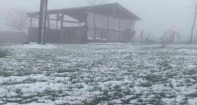 Ordu’da mayıs ayında kar yağışı