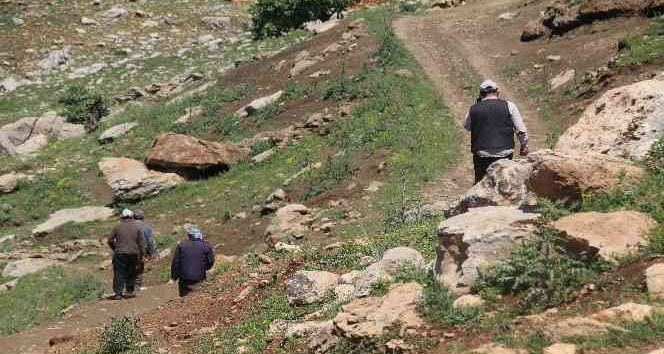 Gabar Dağı’nda iki gündür kayıp olan vatandaşı bulma çalışmaları devam ediyor