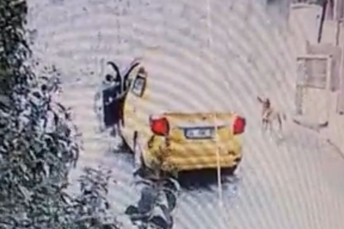 Maltepe’de sokak köpeğini ezen taksici, arkasına bakmadan kaçtı