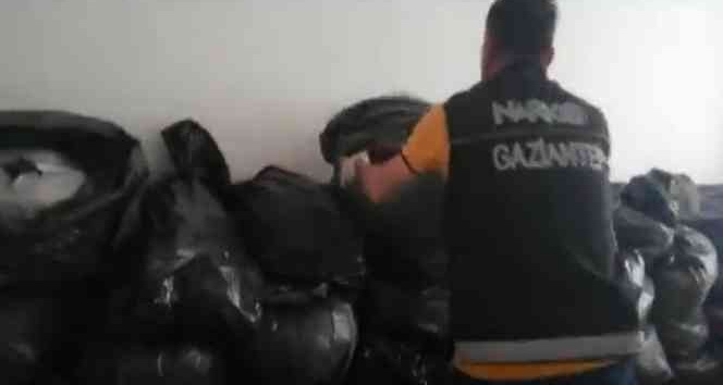 Gaziantep’te 200 kilo esrar ele geçirildi