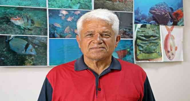 Prof. Dr. Mehmet Gökoğlu: “Yunusların teknelerle yarışı kaybedince intihar ettiği inancı yanlış”