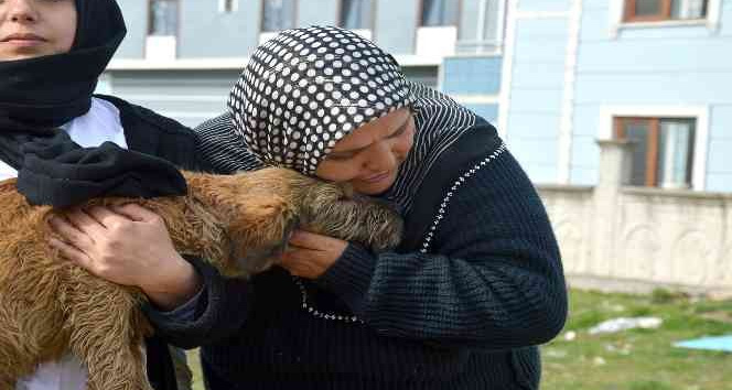 Sakarya’da köpeği ile sahibinin öldürülmekle tehdit edildiği iddiası