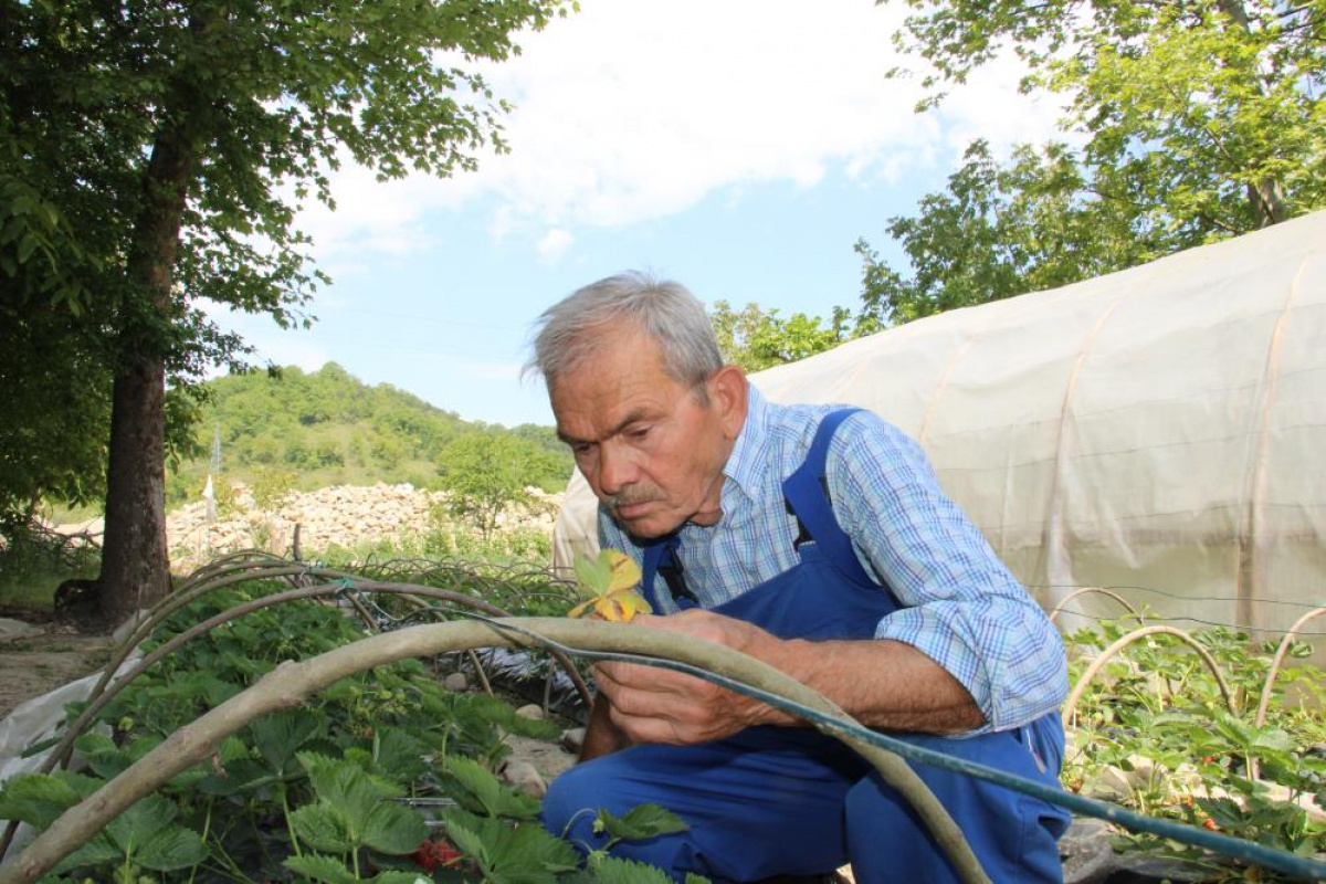 Emekli madenci hayatını tarıma adadı; şimdi siparişe yetişemiyor