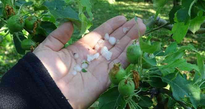 Karaman’da dolu yağışı tarım arazilerine zarar verdi
