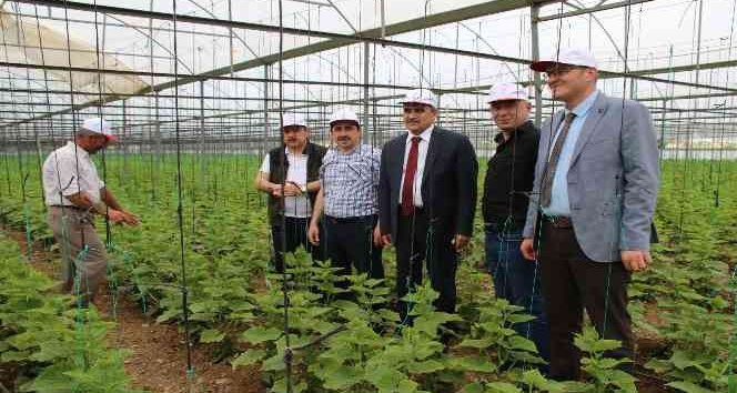 Konya’da İyi Tarım Uygulamalarının Yaygınlaştırılması Projesi sürüyor