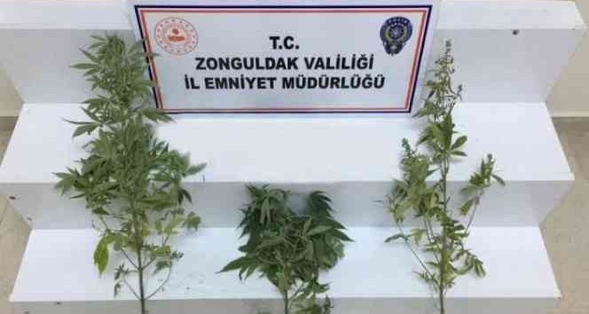 Zonguldak’ta uyuşturucu operasyonu: 1 şüpheli yakalandı