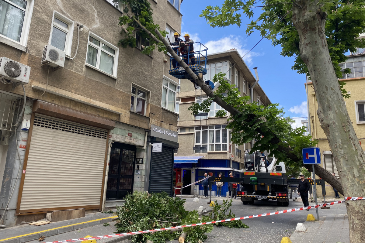 Kadıköy&#039;de şiddetli rüzgara dayanamayan ağaç binanın üstüne devrildi