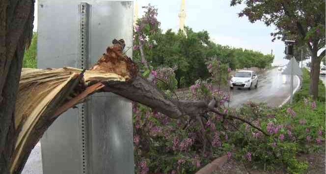Elazığ’da fırtına sonrası çatılar uçtu, ağaçlar devrildi