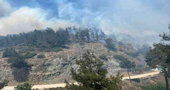 Hatay’da orman yangınına karadan ve havadan müdahale