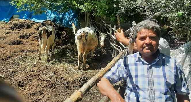 Osmaniye’de köylülerden ucuz süt fiyatına tepki