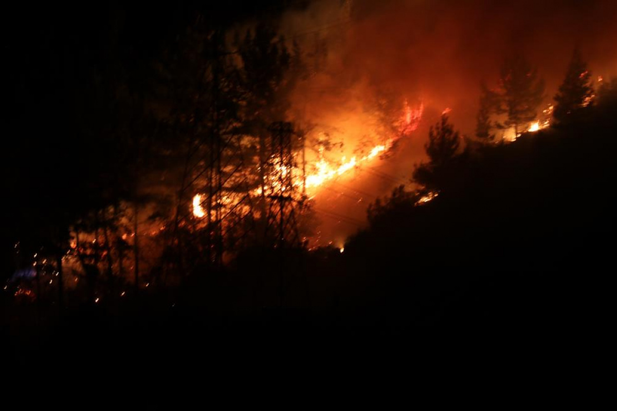 Alanya'da orman yangınında 3 dekar alan zarar gördü