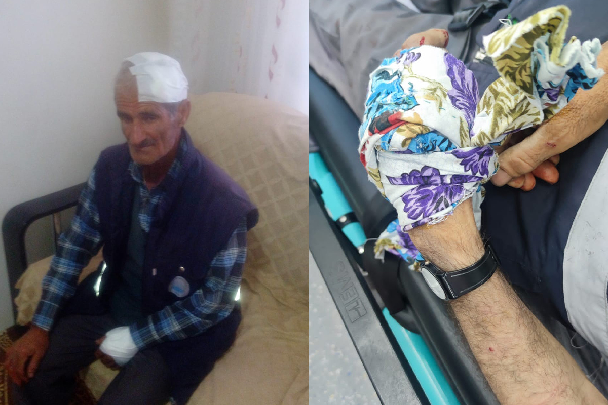 Diyarbakır'da sokak köpekleri yaşlı adama saldırdı