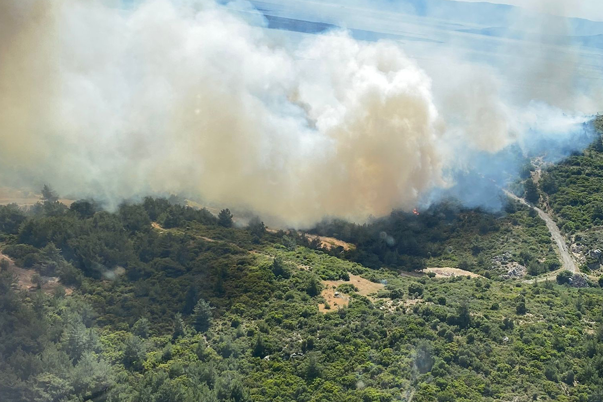 İzmir'in iki ilçesindeki orman yangınlarında 12 hektarlık alan zarar gördü