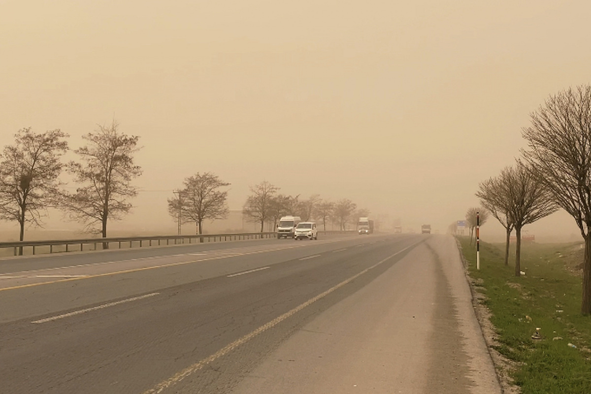 Tatvan' ve Muş'ta  toz bulutları hayatı olumsuz etkiliyor