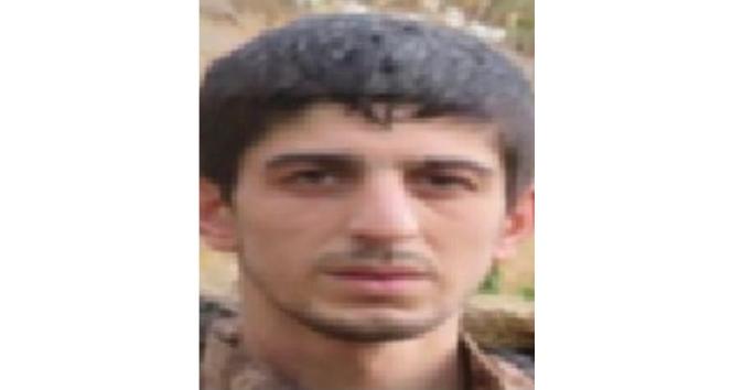 Gri kategorideki PKK’nın mayıncısı terörist etkisiz hale getirildi