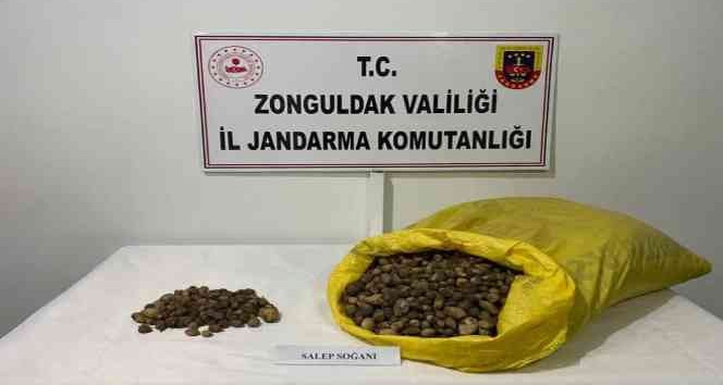 Jandarma ekipleri 40 kilo salep soğanına el koydu