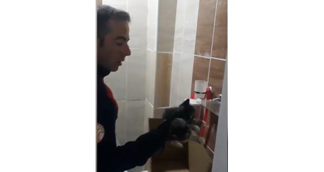 Mahsur kalan yavru kediler kurtarıldı