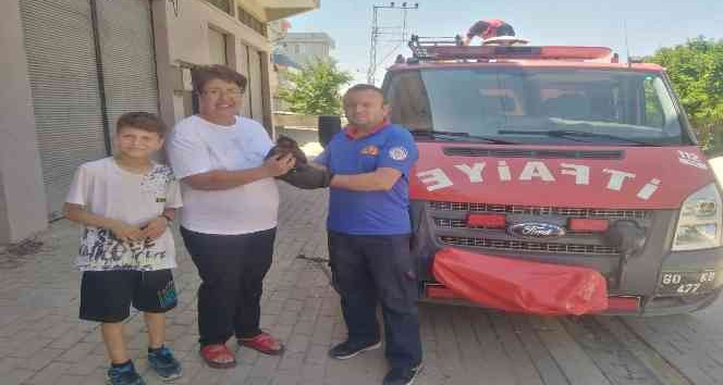 Havalandırma boşluğunda mahsur kalan kediyi itfaiye kurtardı