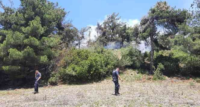 Osmaniye’de orman yangını