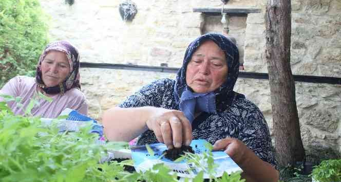 Kırklareli’nde ata tohumdan üretilen fideler dağıtıldı
