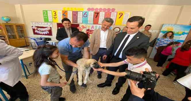 Kabadüz’de minik öğrencilere hayvan sevgisi aşılandı