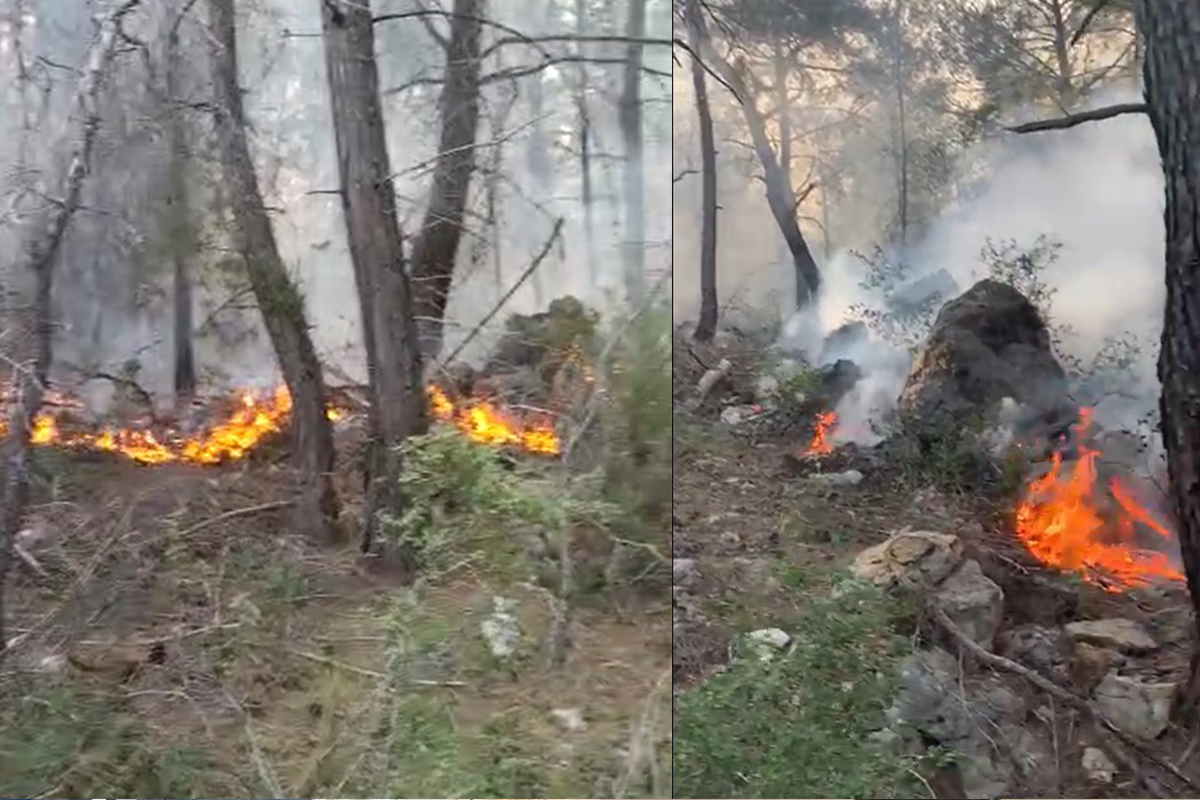 Alanya’da orman yangınında 5 dönüm alan zarar gördü