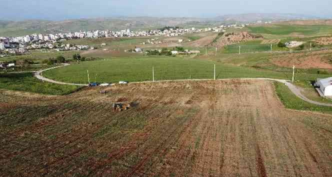 Siirt’te TOKİ konutlarının yapımına başlandı