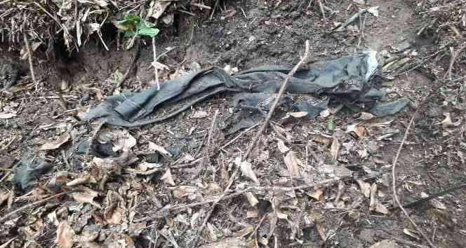 Kafatası bulunan alanda aramalar sürerken, insan kıyafetlerine rastlanıldı