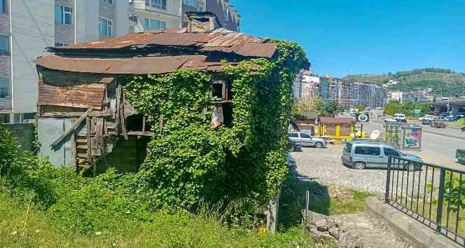 Giresun’da metruk binalar yıkılıyor