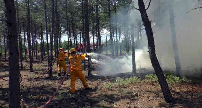 Orman yangınları ile mücadelede işbirliği konuşuldu