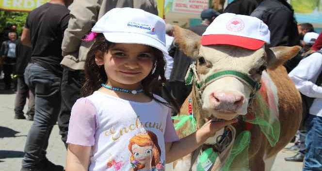 "Buzağı, Kuzu ve Oğlak Güzellik Yarışması"nda renkli görüntüler yaşandı