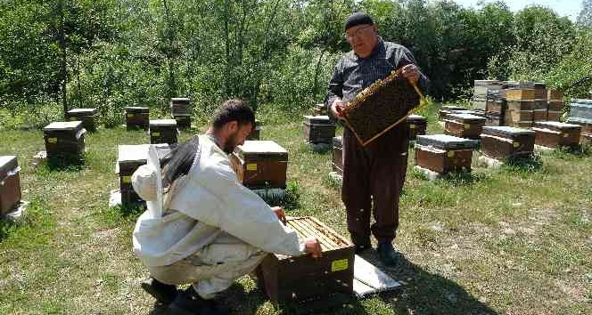 Arıcıların besleme için şeker talebi