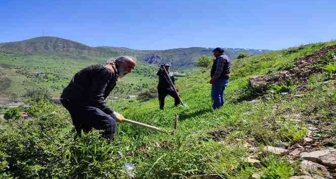 Tunceli’de meyve fidanları toprakla buluştu
