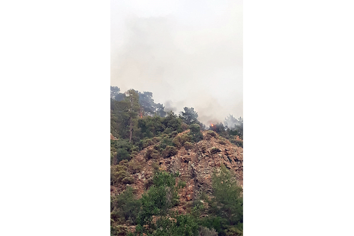Fethiye'de orman yangını