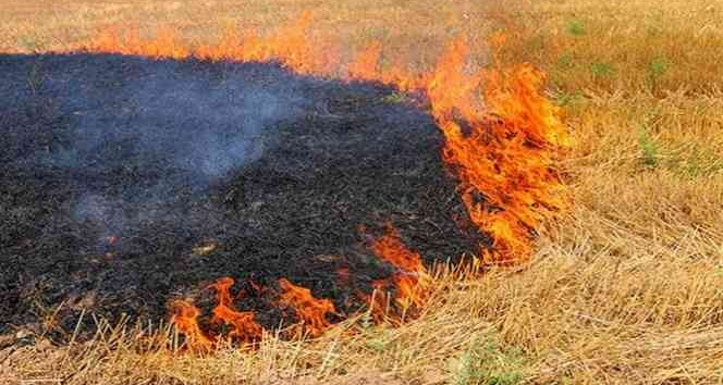 Çiftçilere ’Anız Yakmayın’ uyarısı
