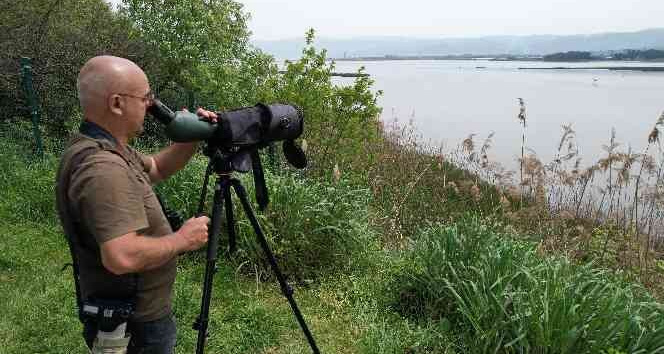 (Özel) Hersek Lagünü’nün “kuş hafiyesi” yaban hayatına ışık tutuyor