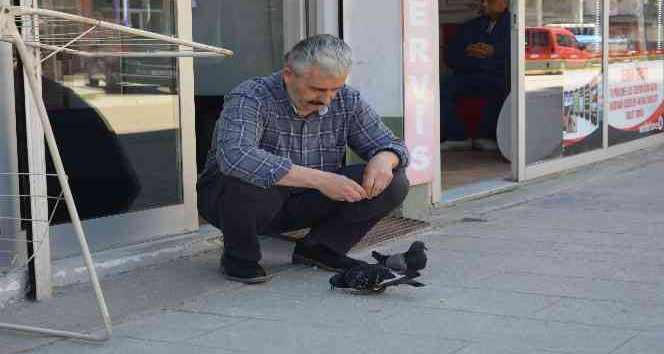 Ordu’da berberin güvercinlerle dostluğu