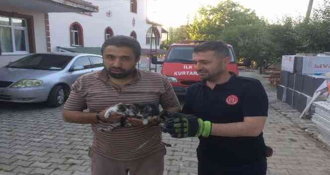 Havalandırma boşluğuna düşen yavru kedileri itfaiye ekipleri kurtardı