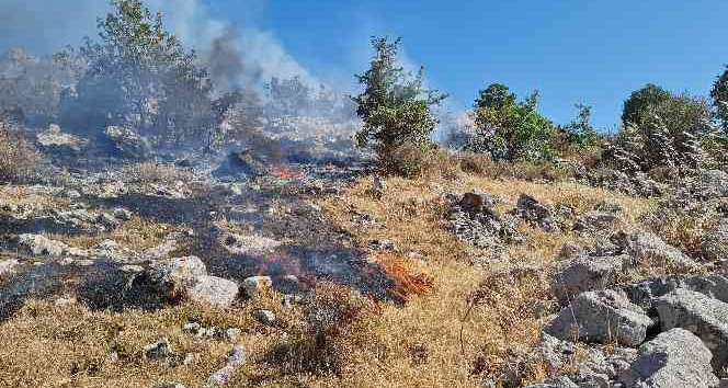 Bodrum’da otluk ve makilik alanda yangın