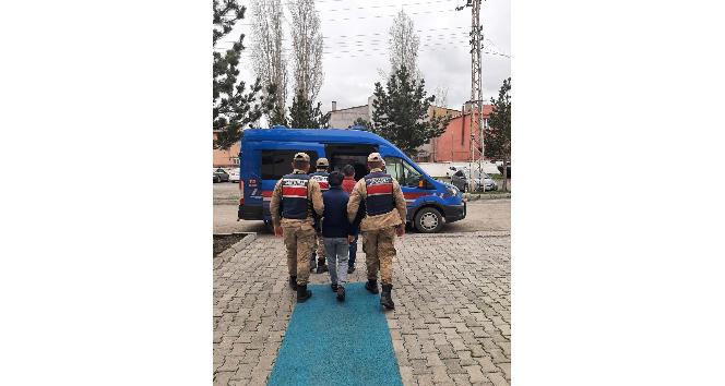 Ardahan’da 2 kaçak göçmen yakalandı