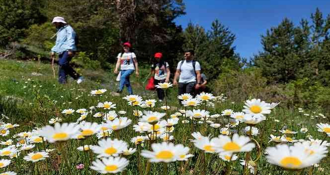 Yüzlerce yıldır kullanılan patikaları canlandırıyorlar