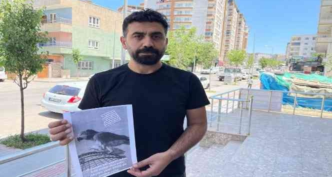 Batman’da kaybolan baba yadigarı papağanı bulana ödül
