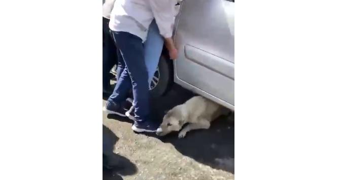 Göle’de yürek ısıtan görüntü